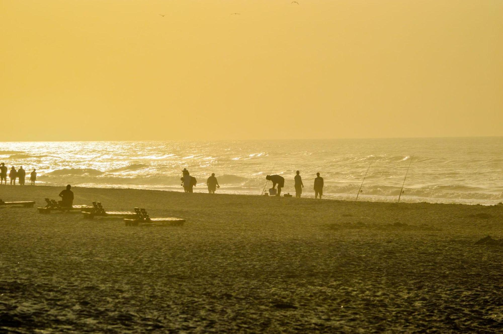 The Beach Is Only Steps Away ガルフ・ショアーズ エクステリア 写真